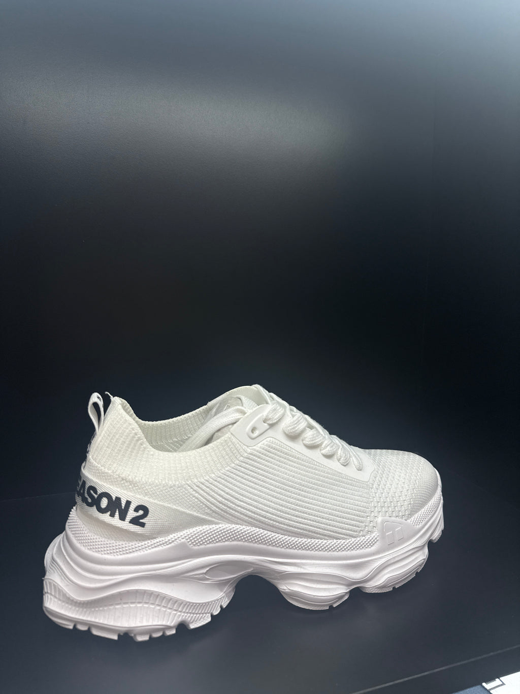 Scarpe DS2